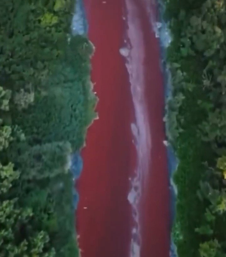 הנהר שהפך לאדום