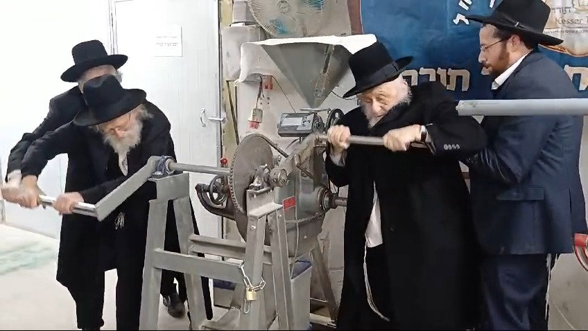ראש הישיבה בטחינת חיטים