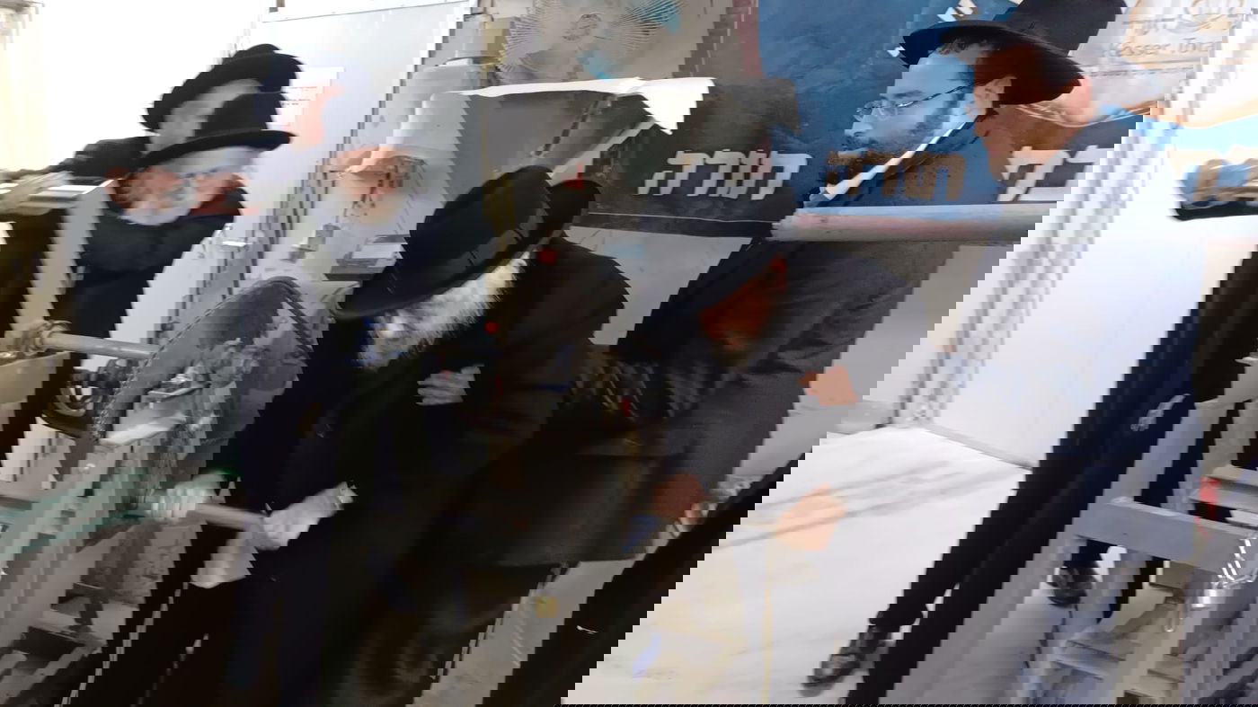 הגרב"ד והגר"ד בטחינת חיטים