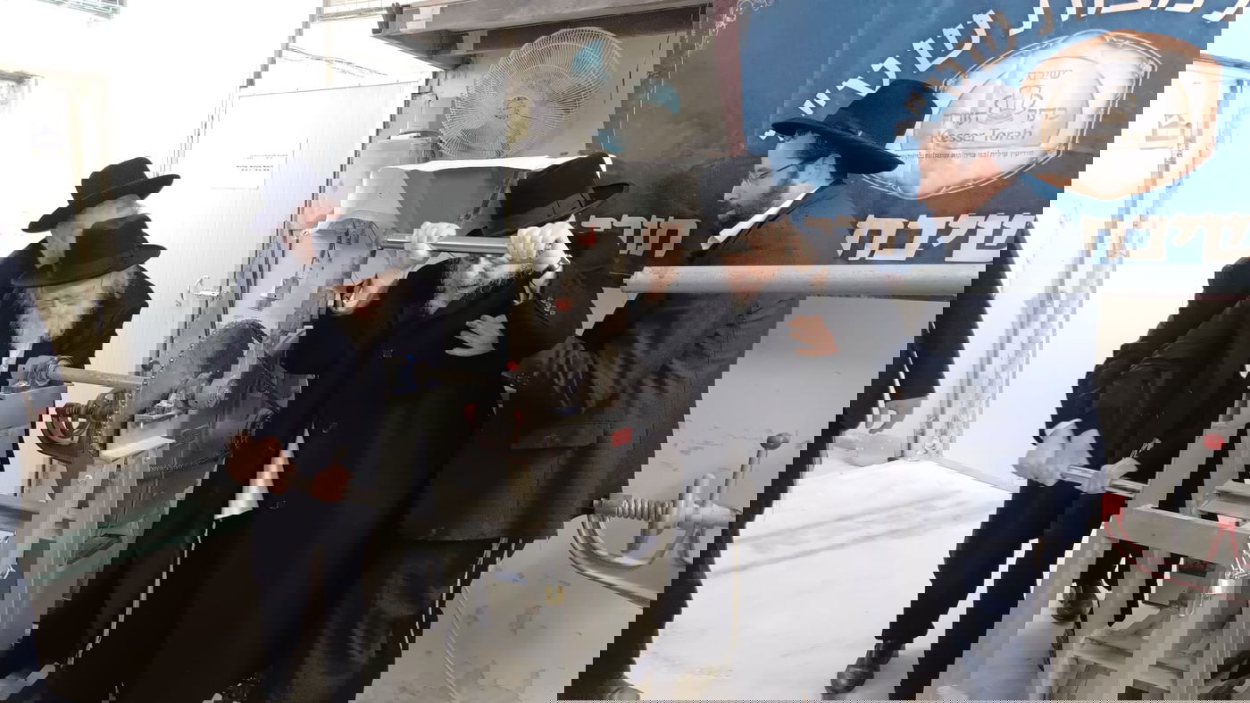 הגרב"ד והגר"ד בטחינת חיטים