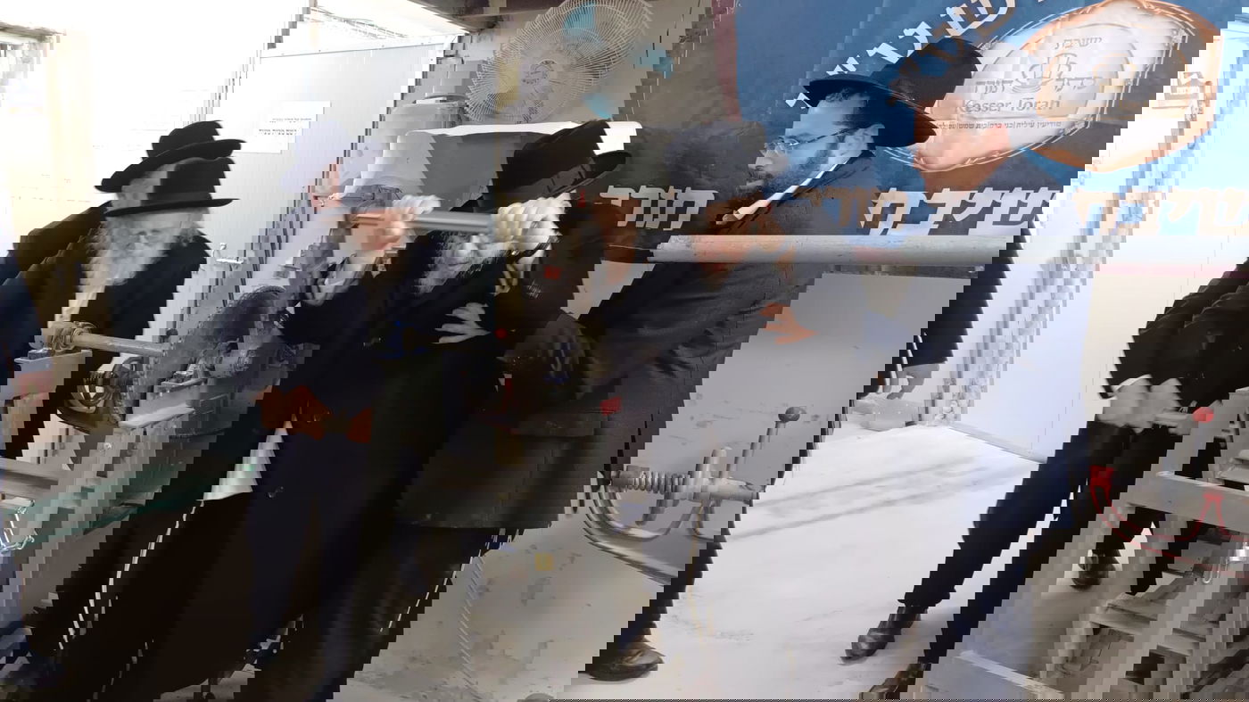 הגרב"ד והגר"ד בטחינת חיטים