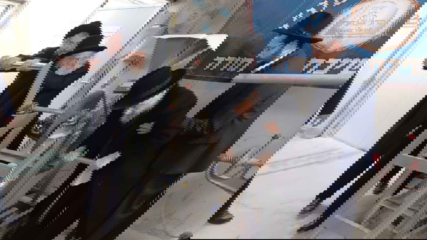 הגרב"ד והגר"ד בטחינת חיטים