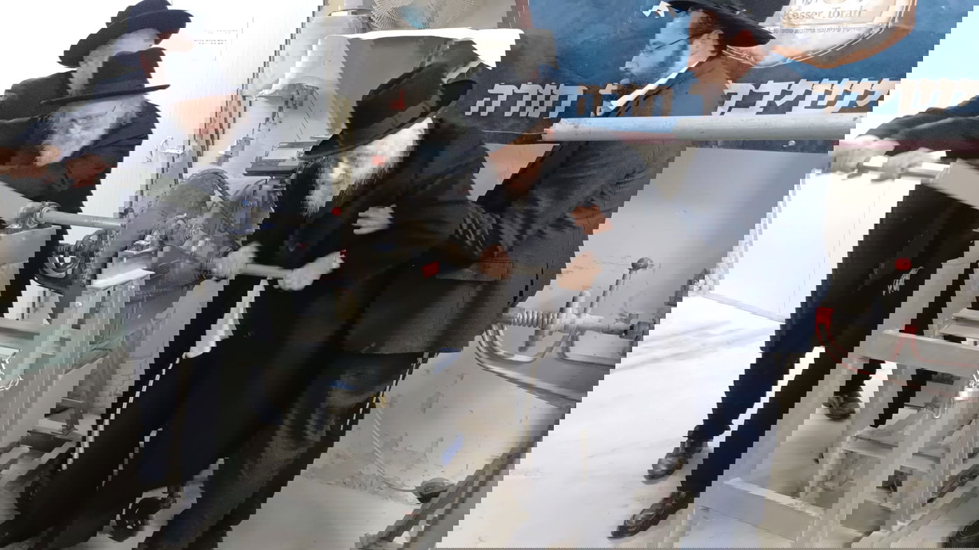 הגרב"ד והגר"ד בטחינת חיטים