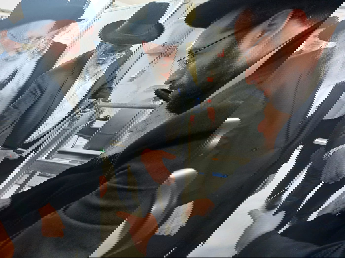 הגרב"ד והגר"ד בטחינת חיטים