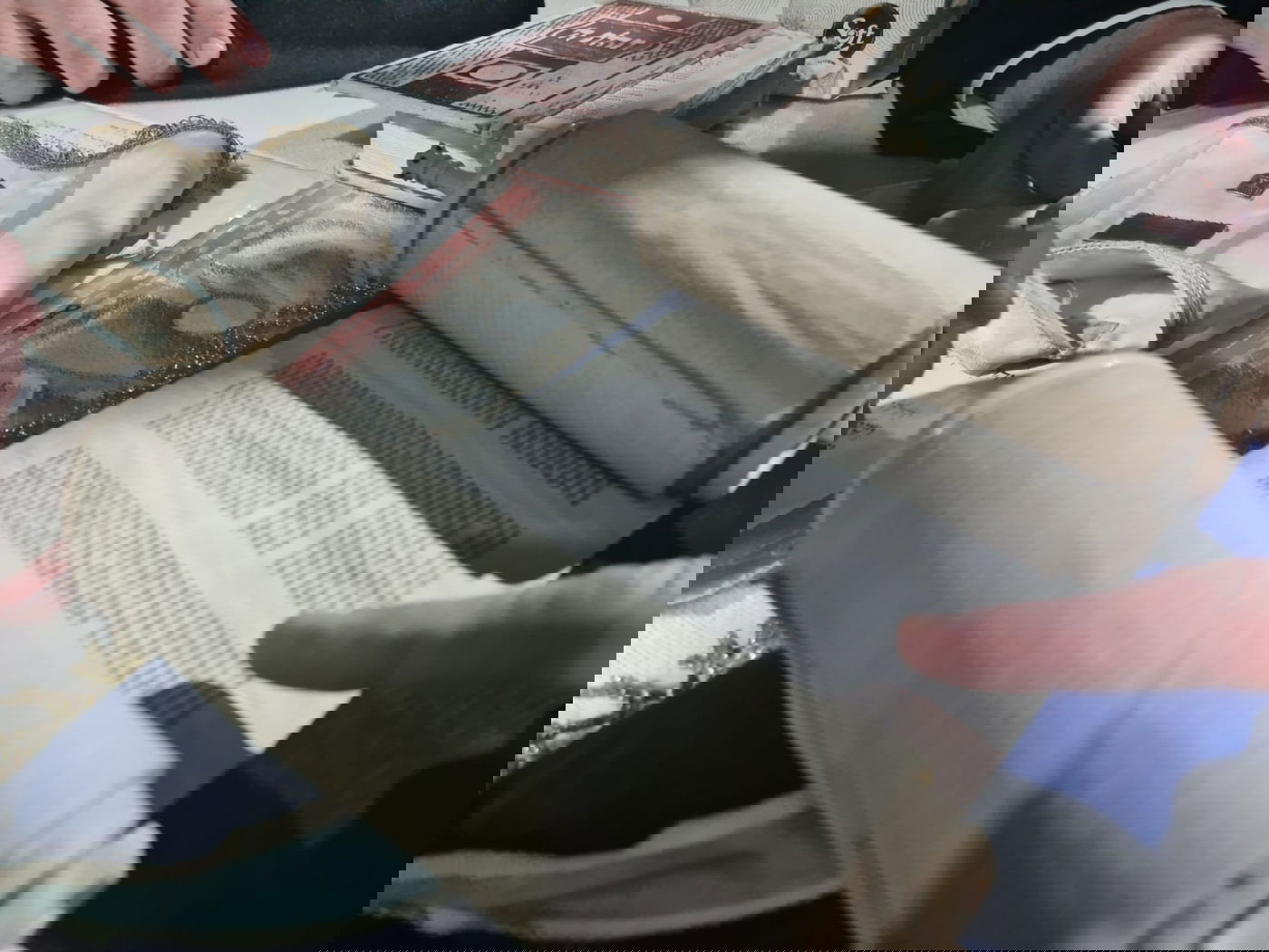 18 ס"מ גובה: כך נראה ספר התורה המיניאטורי בבית הנשיא