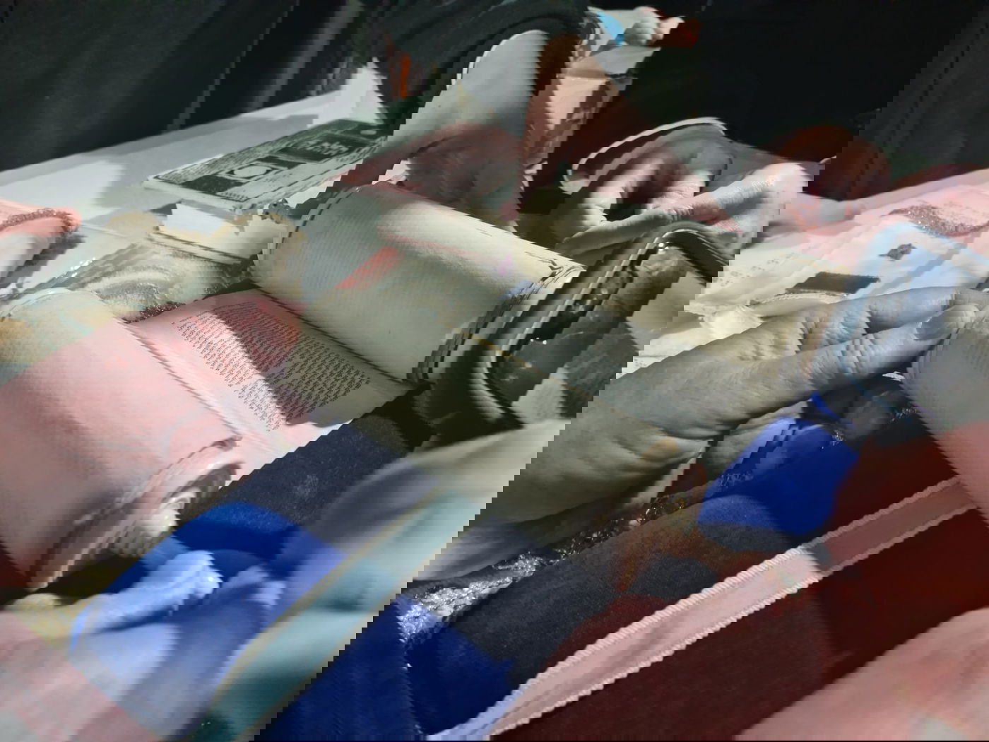 18 ס"מ גובה: כך נראה ספר התורה המיניאטורי בבית הנשיא