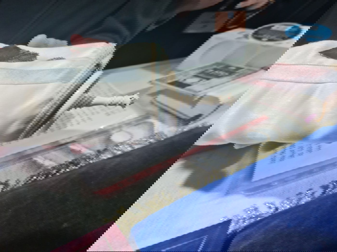 18 ס"מ גובה: כך נראה ספר התורה המיניאטורי בבית הנשיא