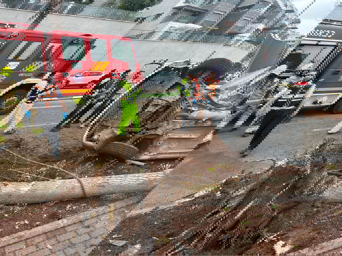 הרכב התנגש בעץ בעוצמה - והתהפך; כך חילצו את הנהג