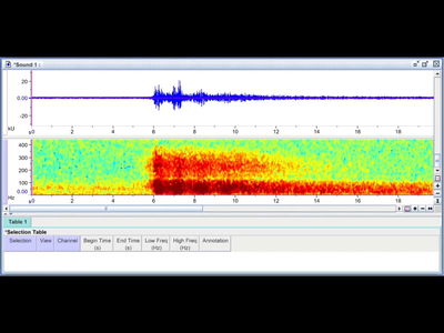 מזעזע: כך נשמע פיצוץ צוללת ה'טיטאן' הזעירה באוקיינוס