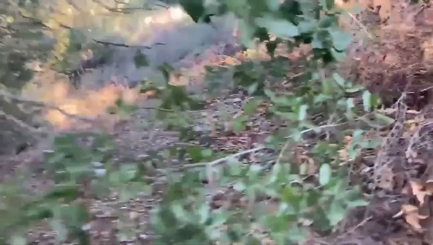 אמצעי לחימה שאותרו בדרום לבנון 