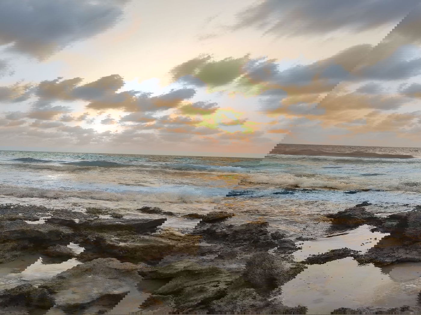 חוף הים בשרון