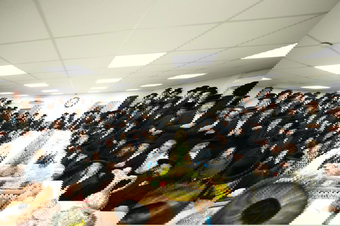 ט"ו בשבט בחצה"ק טרבישאן