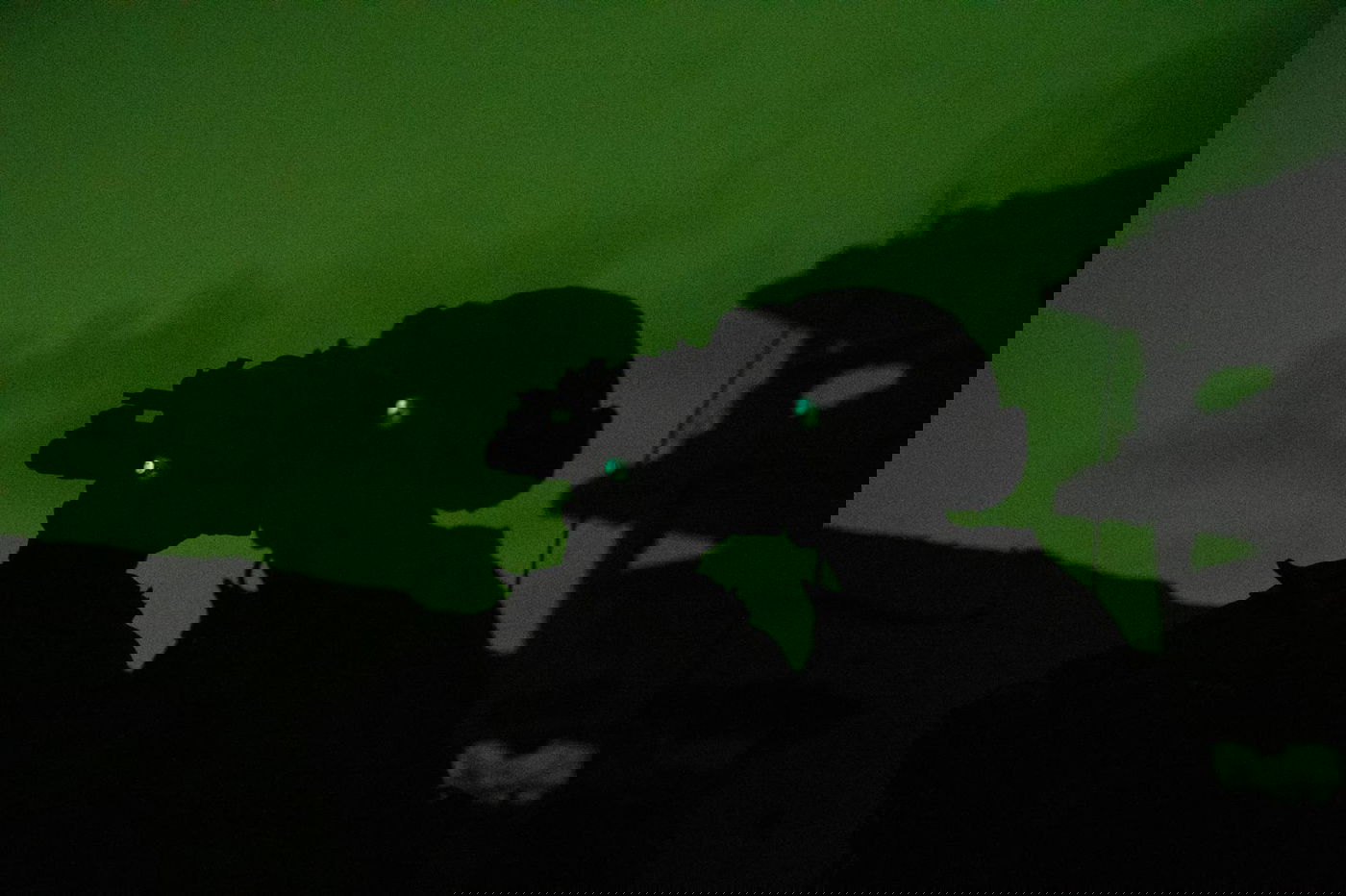 פעילות לוחמי צה"ל