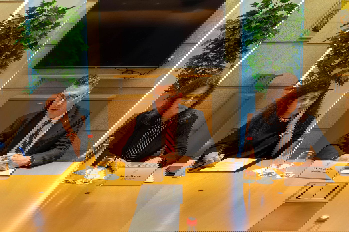 השר סער בשיחה מדינית