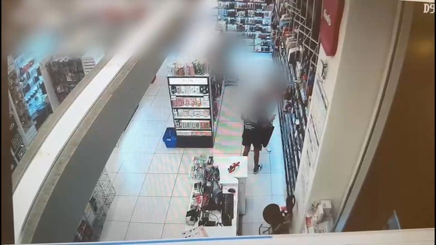 חברי החולייה גונבים בשמים