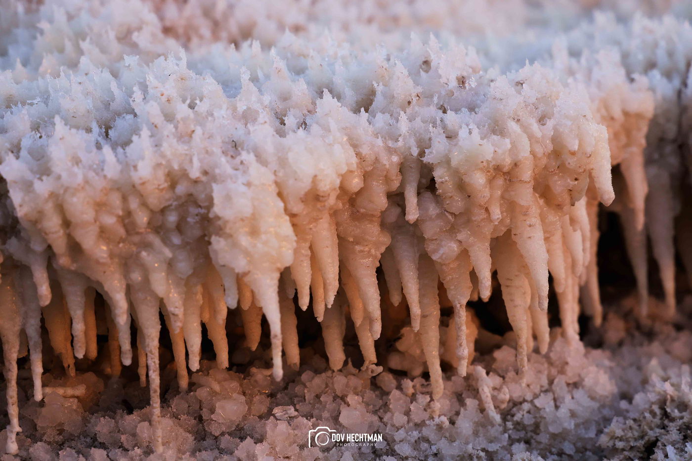 ים המלח בזריחה