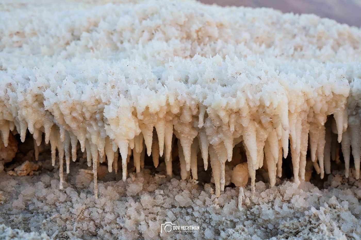 ים המלח בזריחה