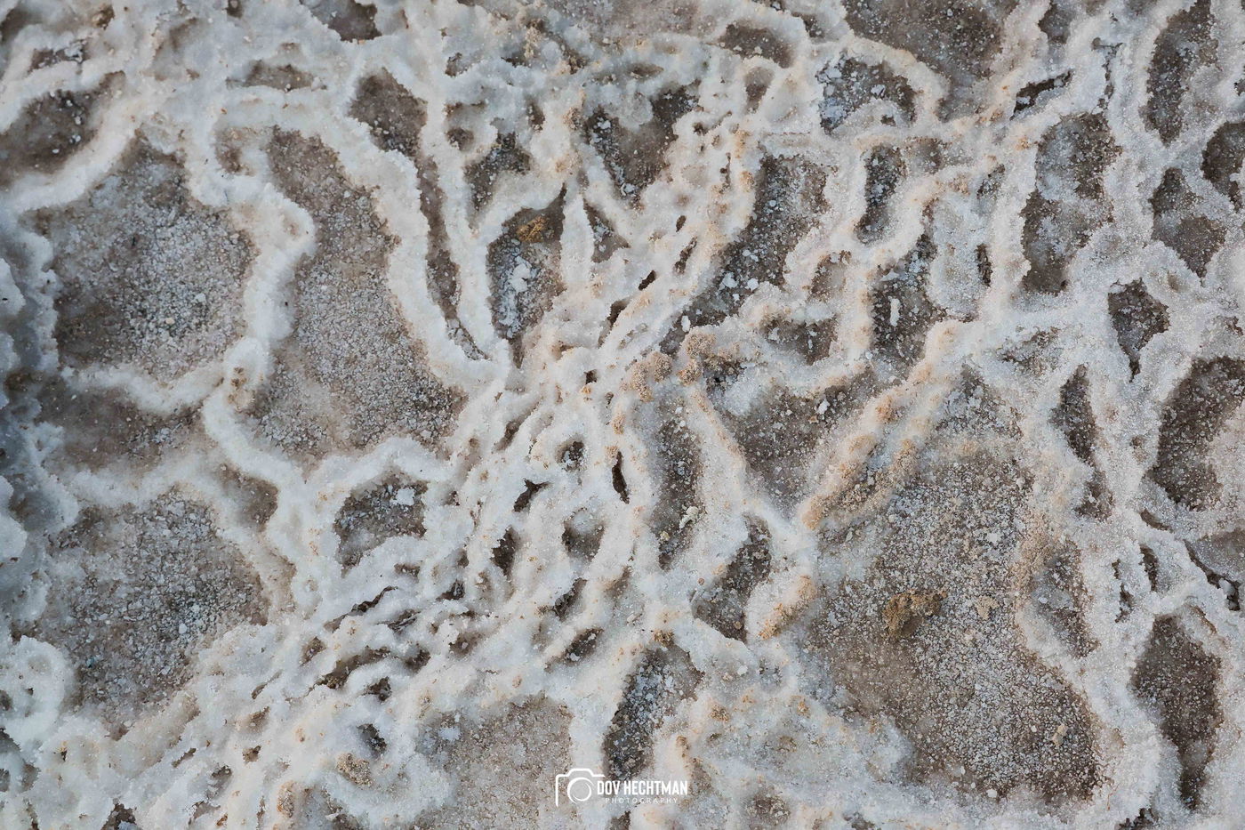 ים המלח בזריחה