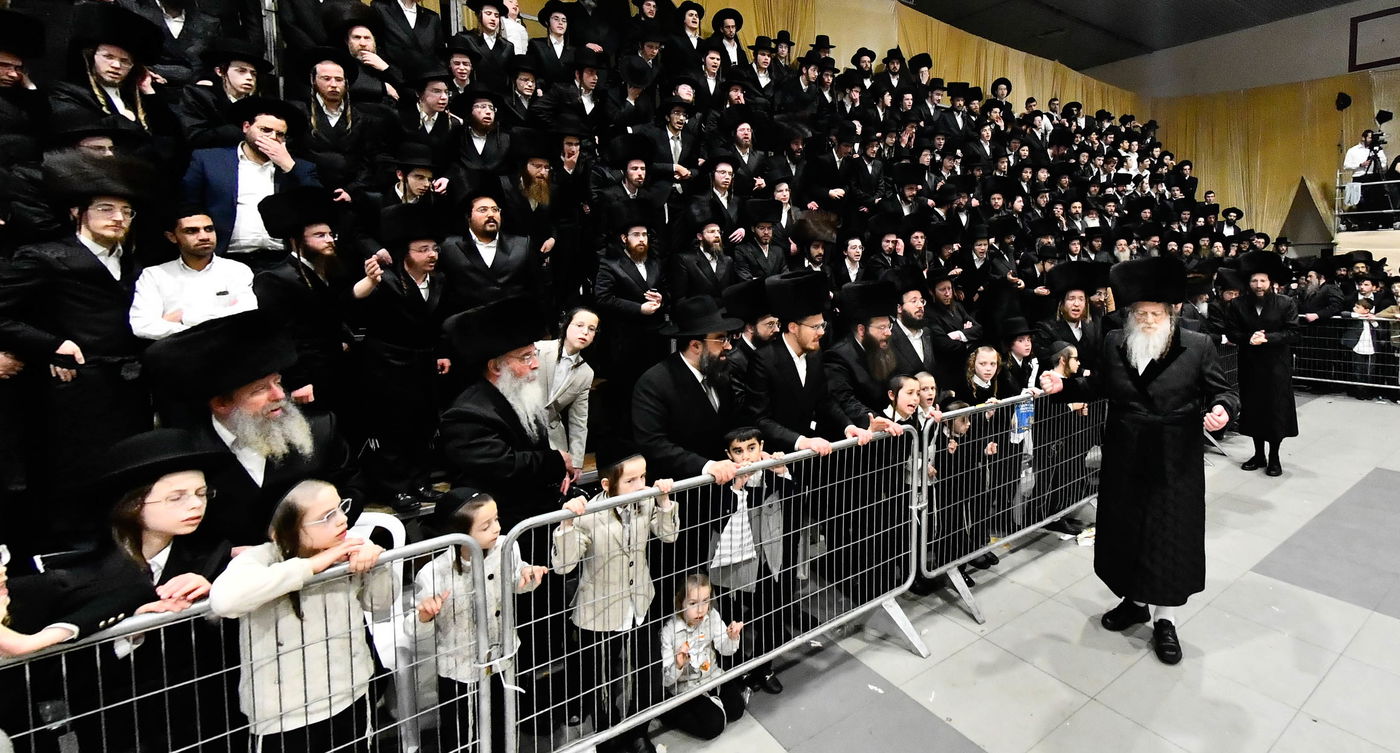 שמחת בית מודז'יץ - צאנז ירושלים - האלמין