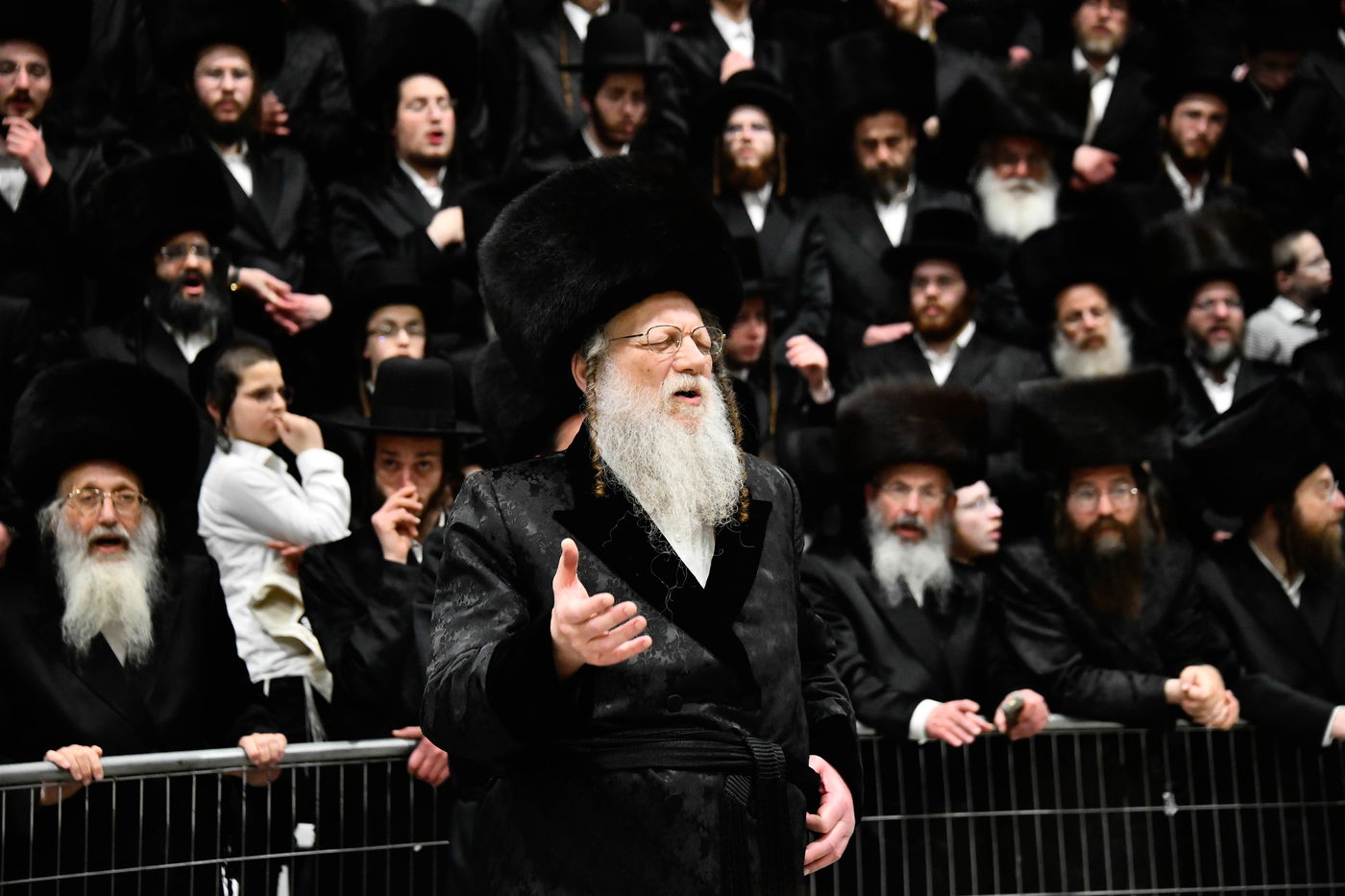 שמחת בית מודז'יץ - צאנז ירושלים - האלמין