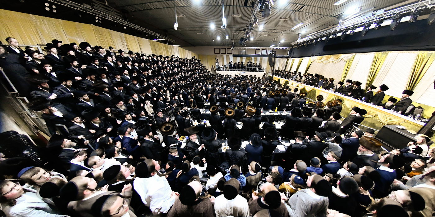 שמחת בית מודז'יץ - צאנז ירושלים - האלמין