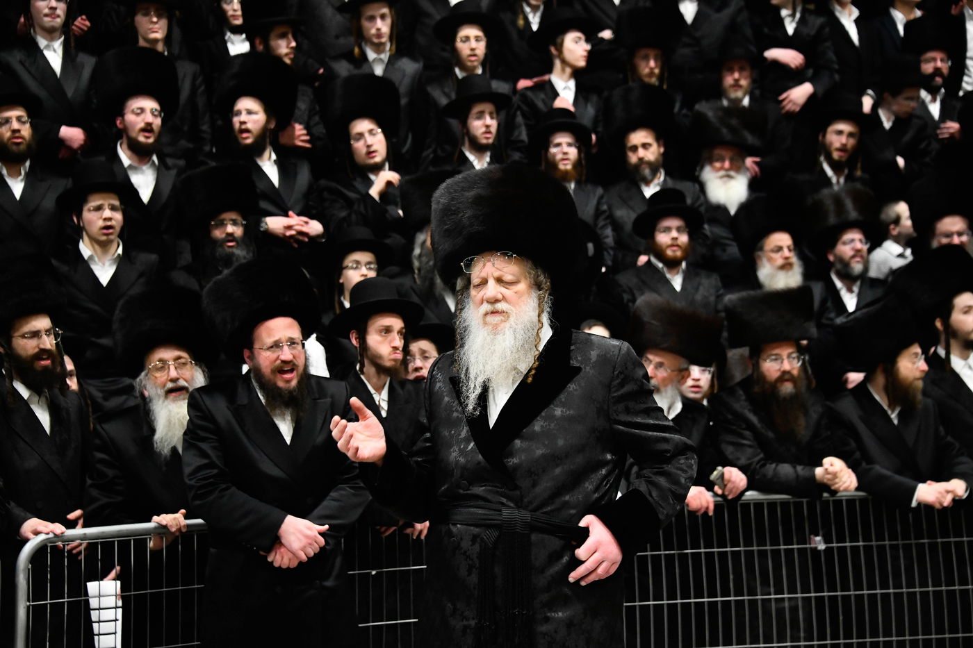 שמחת בית מודז'יץ - צאנז ירושלים - האלמין