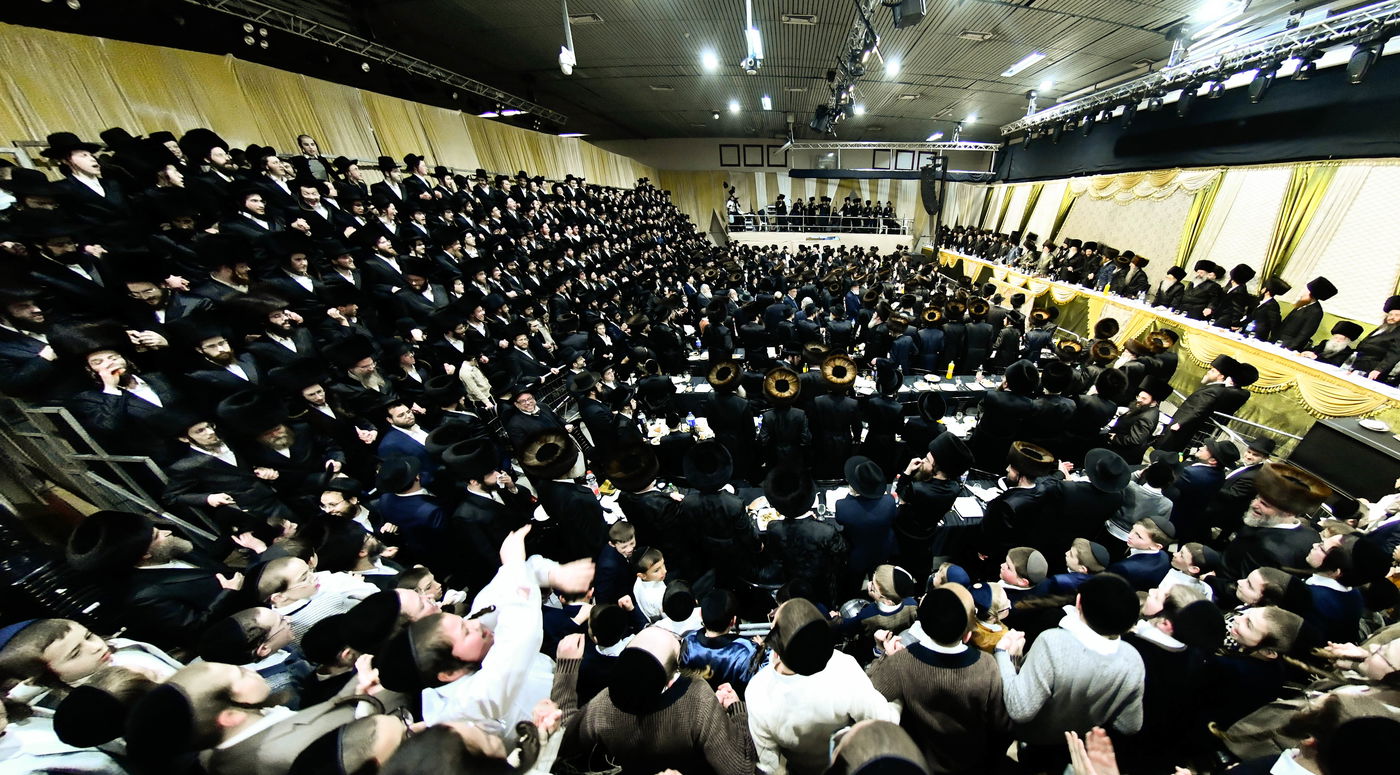 שמחת בית מודז'יץ - צאנז ירושלים - האלמין