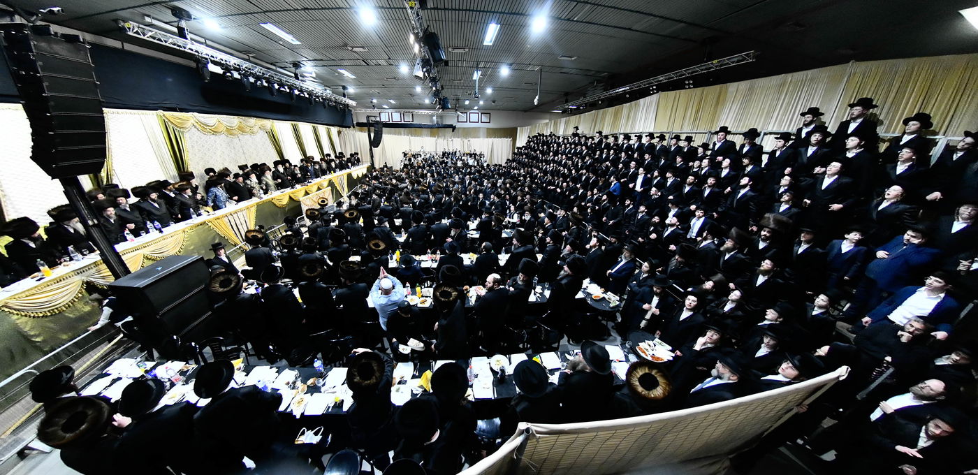 שמחת בית מודז'יץ - צאנז ירושלים - האלמין