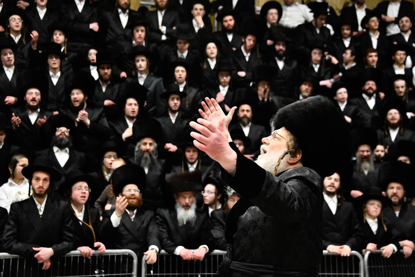 שמחת בית מודז'יץ - צאנז ירושלים - האלמין