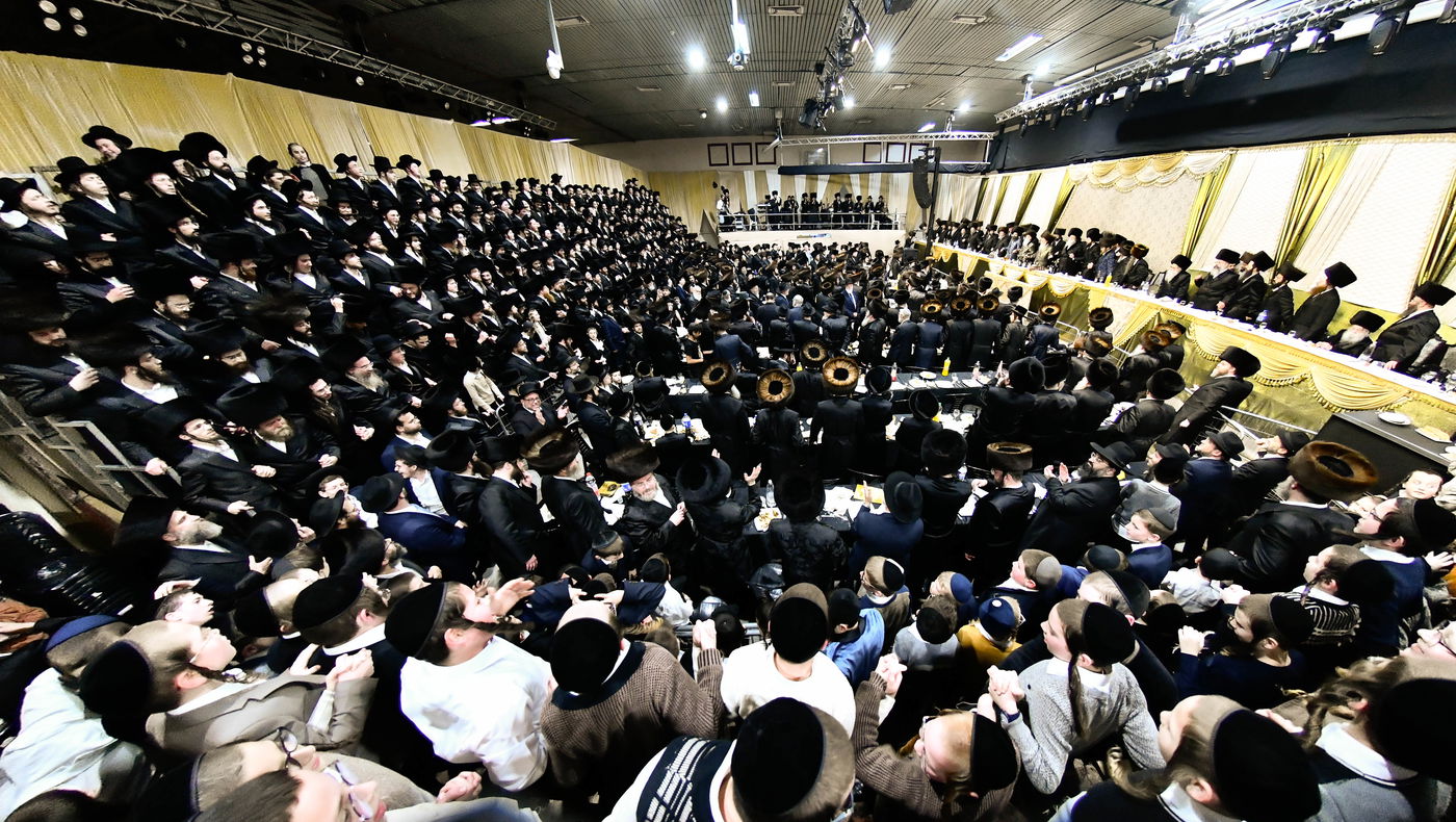 שמחת בית מודז'יץ - צאנז ירושלים - האלמין