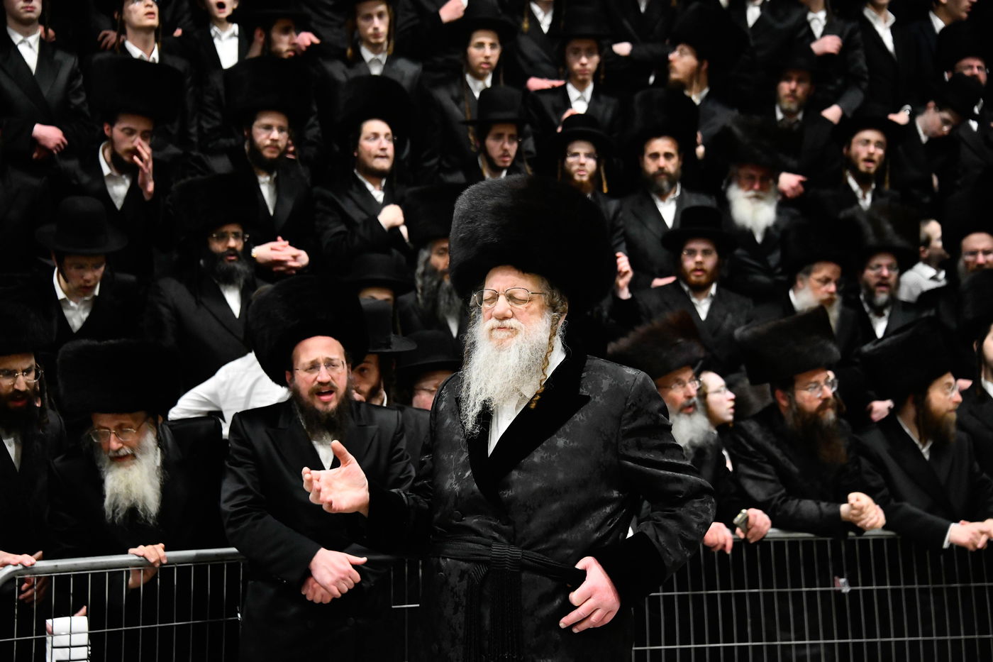 שמחת בית מודז'יץ - צאנז ירושלים - האלמין