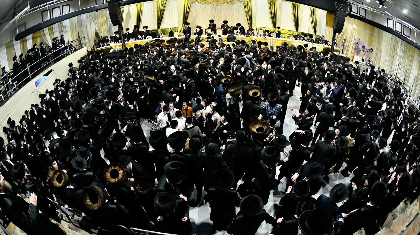 שמחת בית מודז'יץ - צאנז ירושלים - האלמין