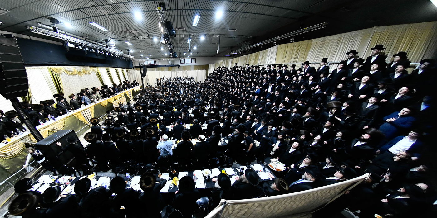 שמחת בית מודז'יץ - צאנז ירושלים - האלמין