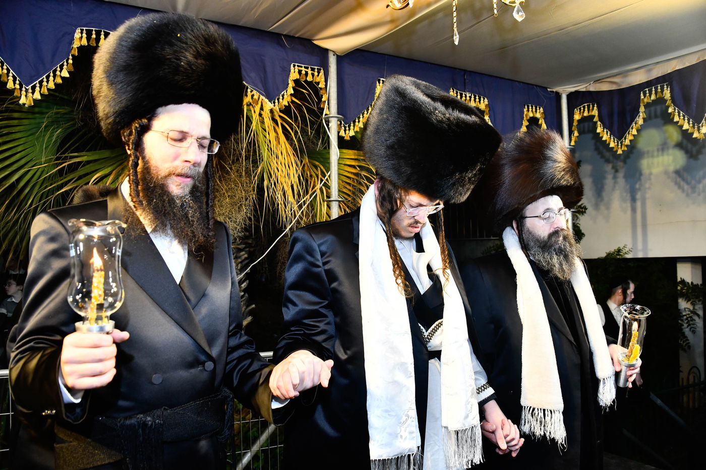 שמחת בית מודז'יץ - צאנז ירושלים - האלמין