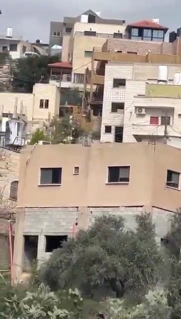 פעילות צה"ל ליד ג'נין