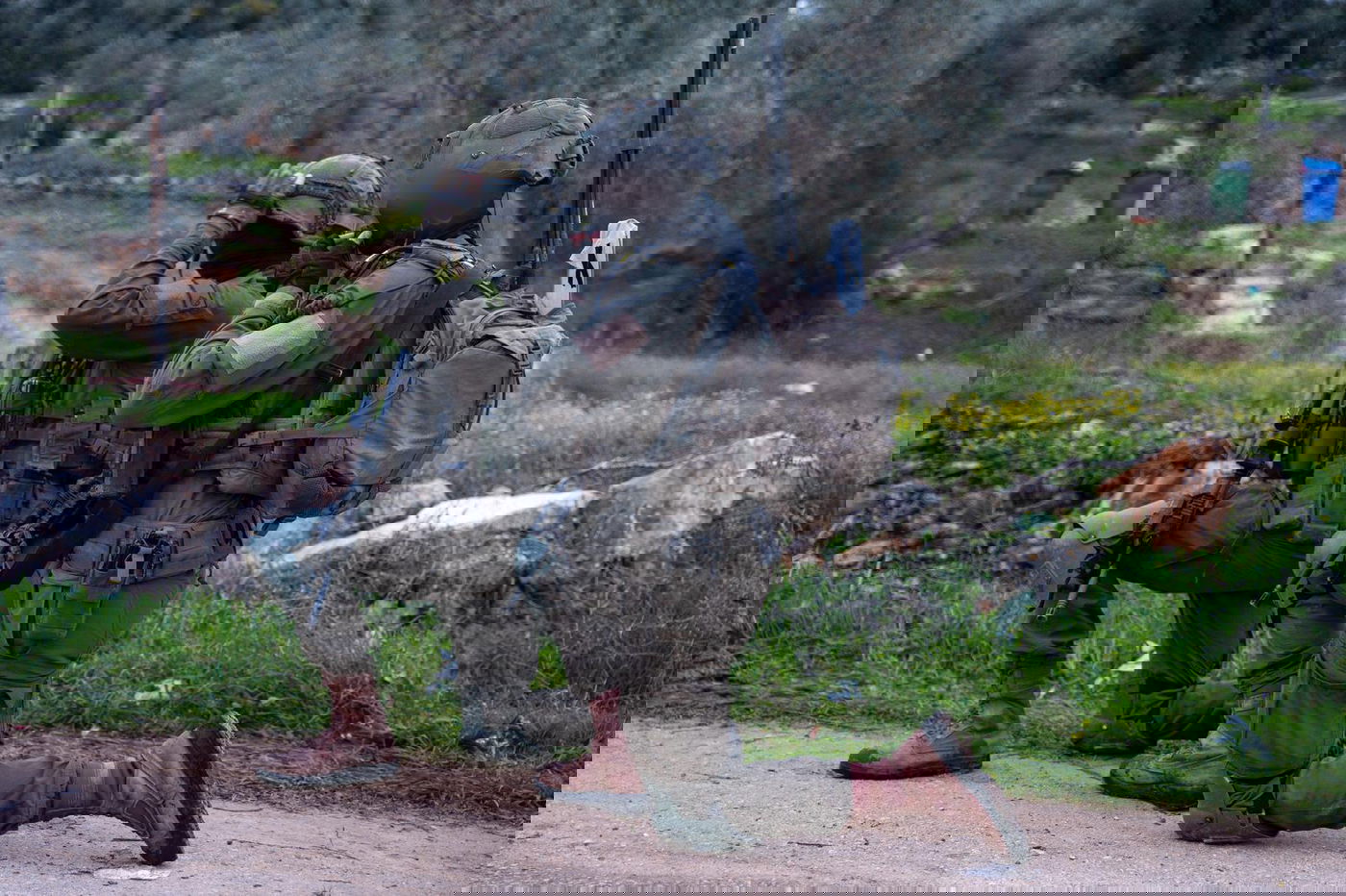 כוחות בשומרון