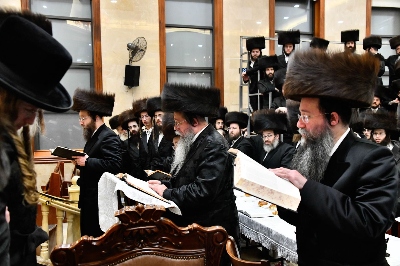 הילולא קדישא בשבט הלוי