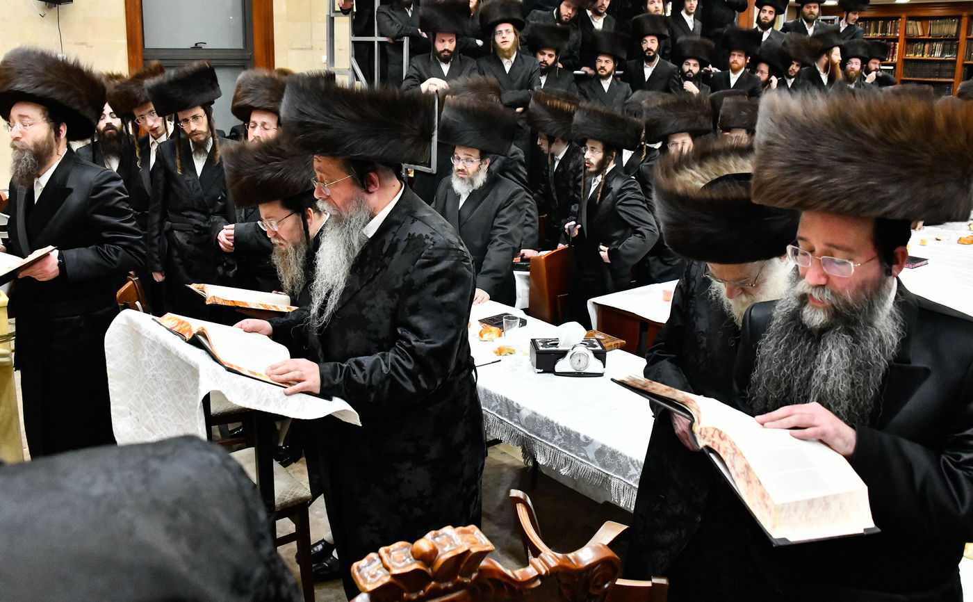 הילולא קדישא בשבט הלוי