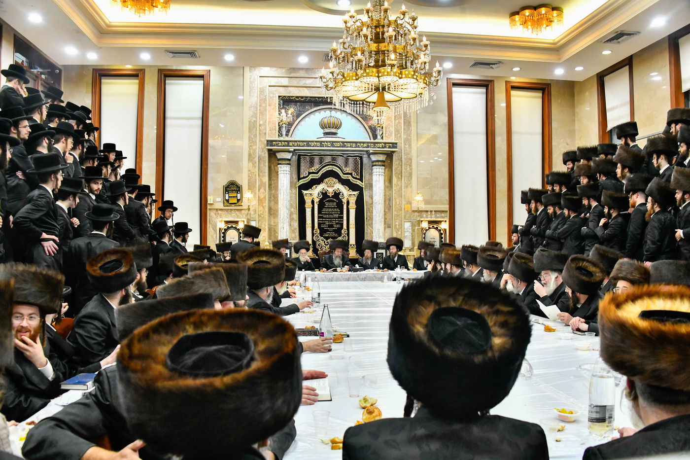 הילולא קדישא בשבט הלוי