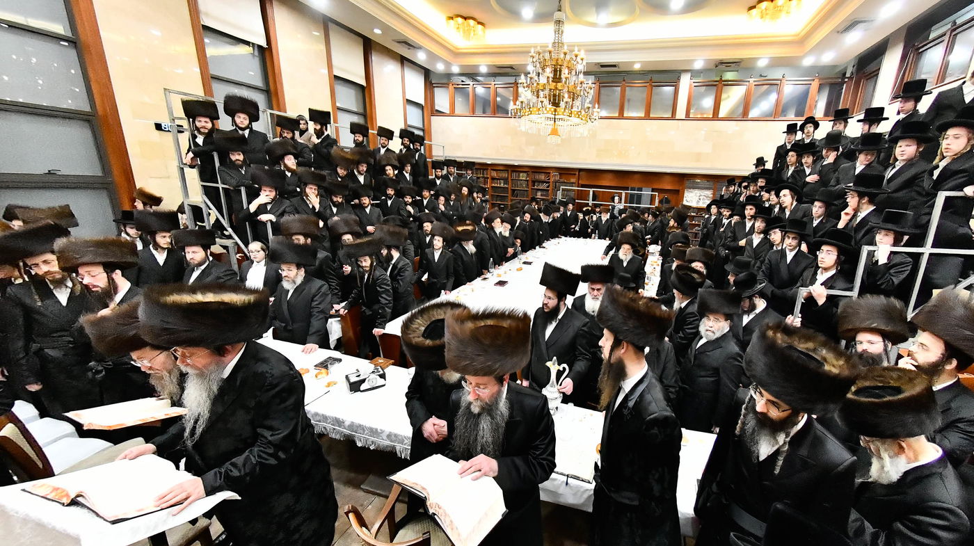 הילולא קדישא בשבט הלוי