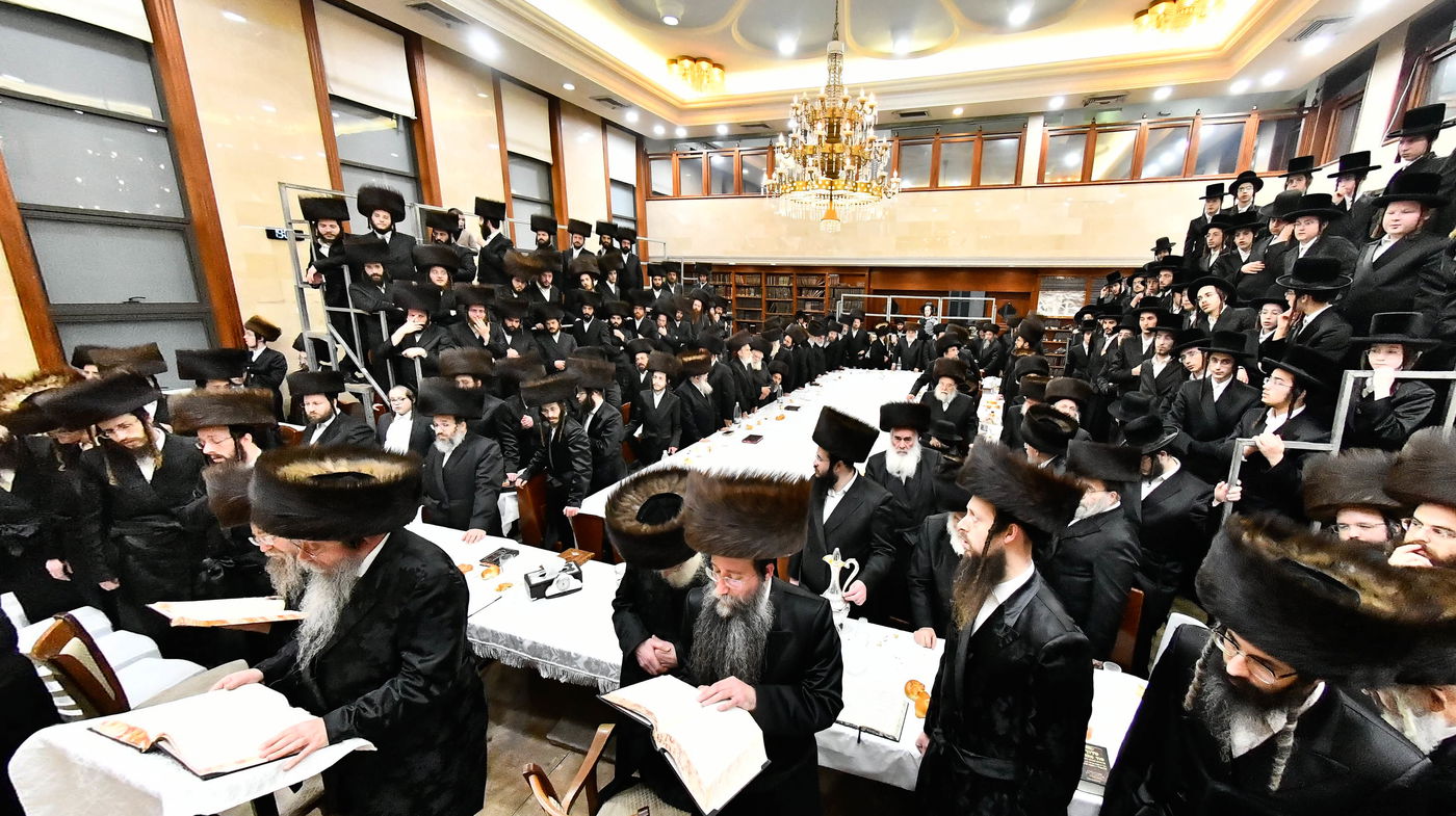 הילולא קדישא בשבט הלוי