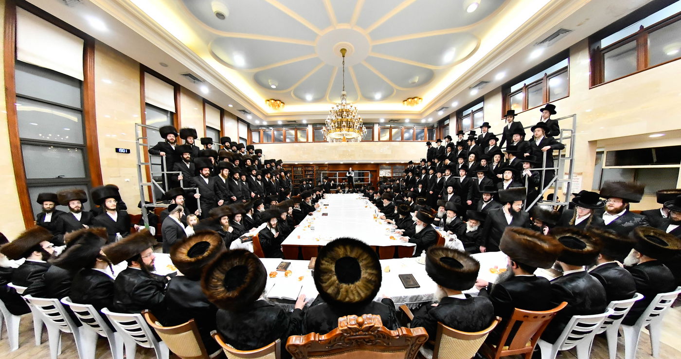 הילולא קדישא בשבט הלוי