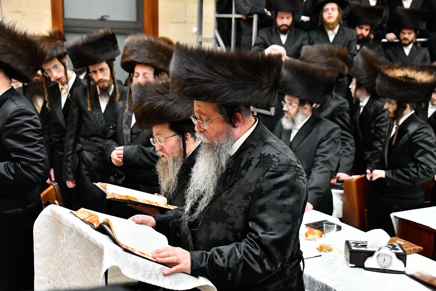 הילולא קדישא בשבט הלוי