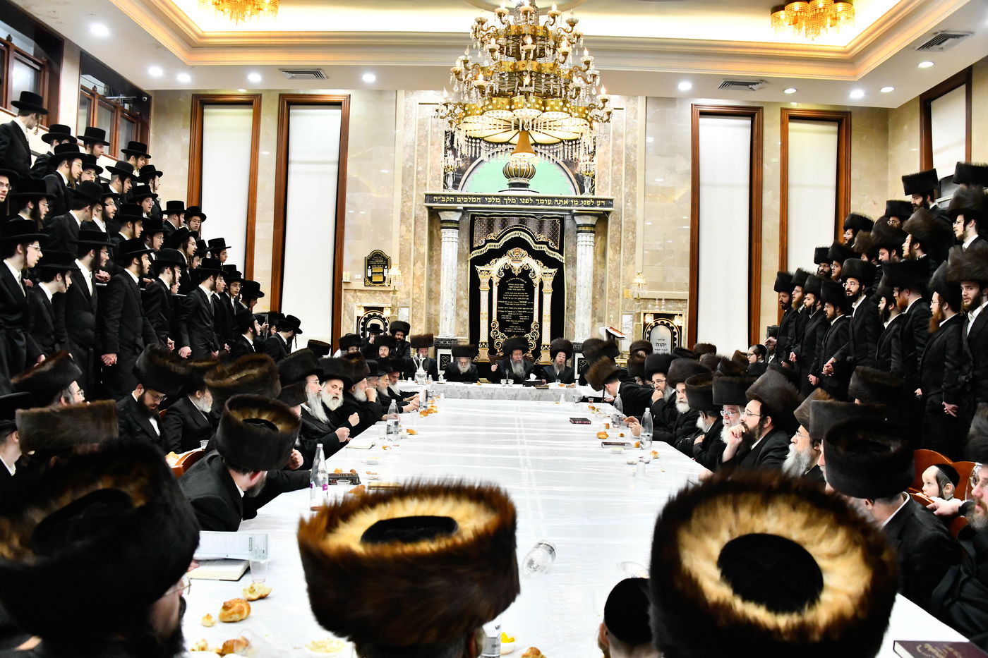 הילולא קדישא בשבט הלוי