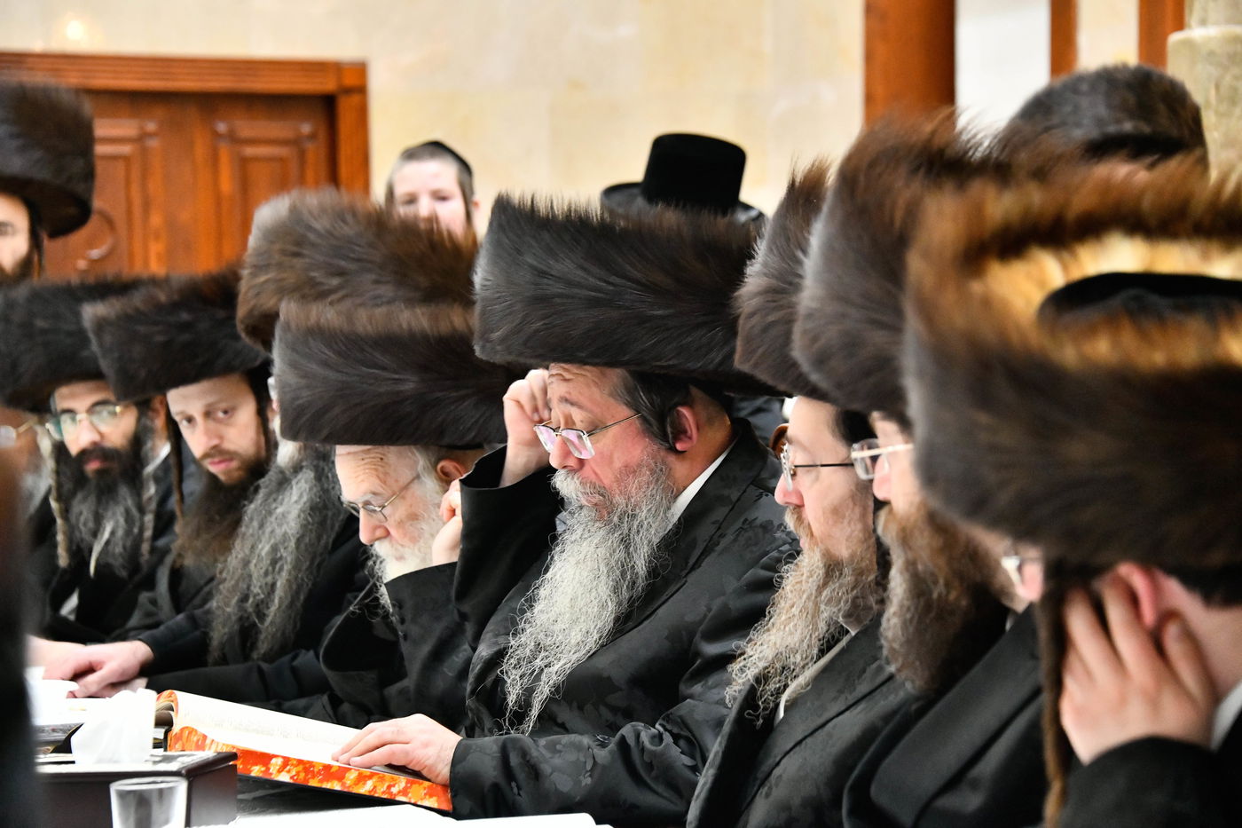 הילולא קדישא בשבט הלוי