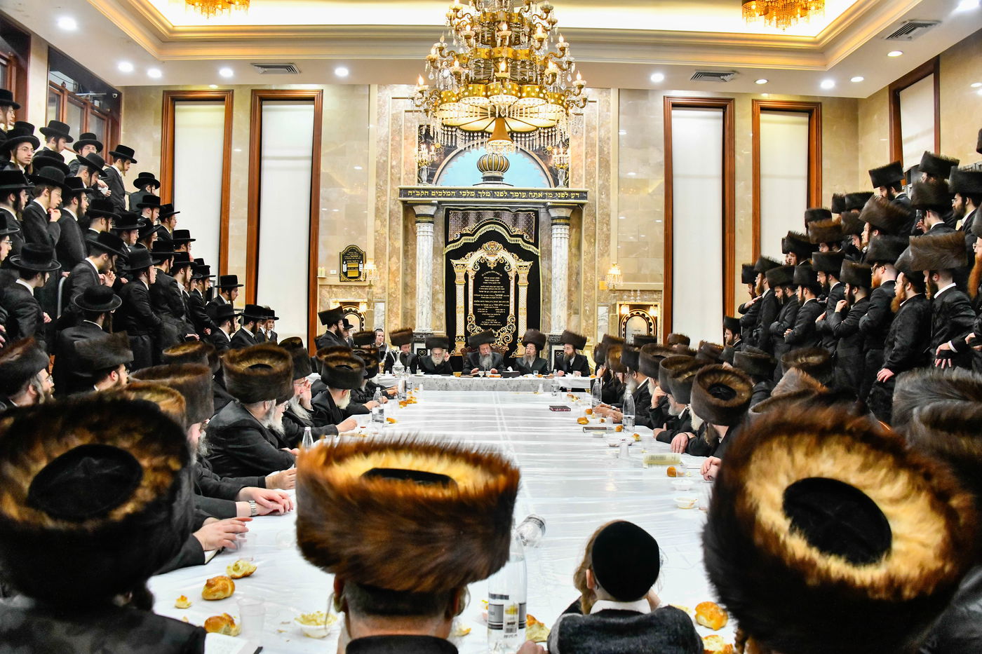 הילולא קדישא בשבט הלוי