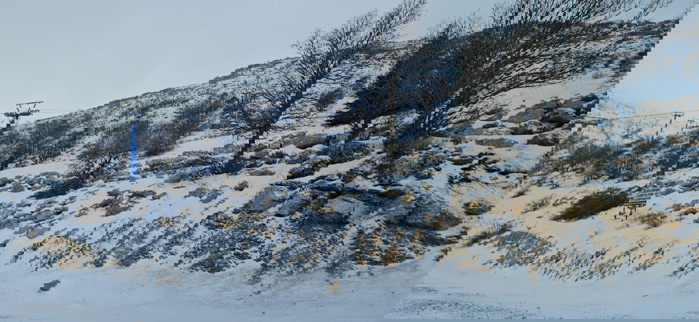 החרמון, הבוקר