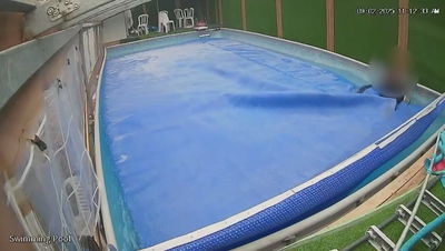 הפלסטיני התחפש לחרדי ופרץ לבית - וכמעט טבע בבריכה 