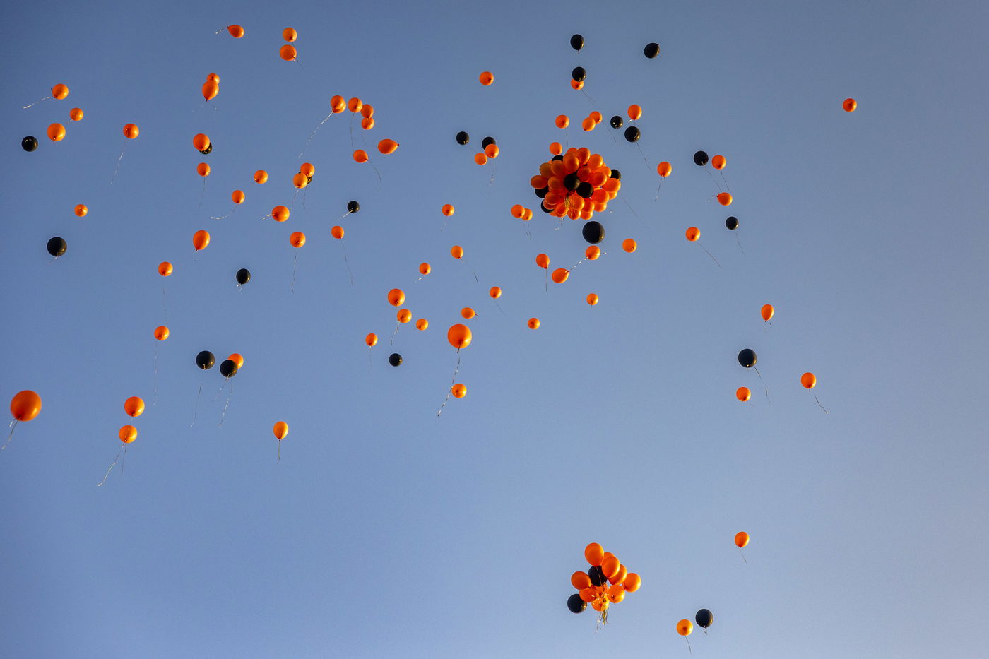 הלוויית משפחת ביבס, אתמול