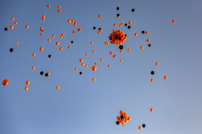 הלוויית משפחת ביבס, אתמול